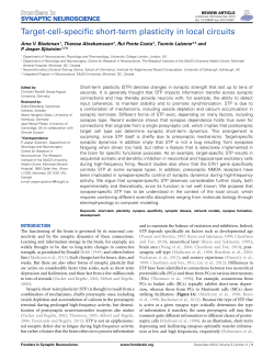 Target-cell-specific short-term plasticity in local circuits