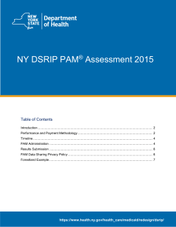 NY DSRIP PAM Assessment 2015