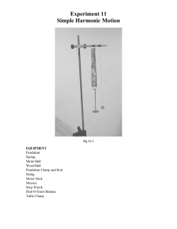 Experiment 11 Simple Harmonic Motion