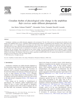 Circadian rhythm of physiological color change in the