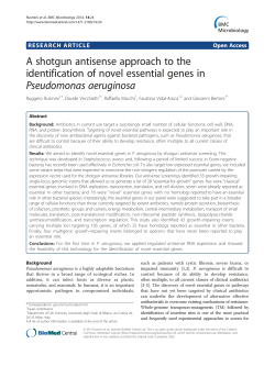 A shotgun antisense approach to the identification of novel essential