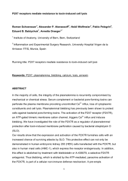 P2X7 receptors mediate resistance to toxin-induced cell lysis