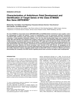 Characterization of Antirrhinum Petal Development and
