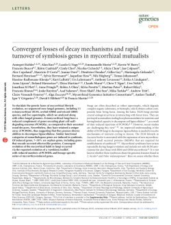Convergent losses of decay mechanisms and rapid turnover of