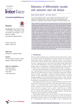 Robustness of differentiation cascades with symmetric stem cell