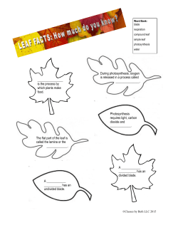 is the process by which plants make food. Photosynthesis requires