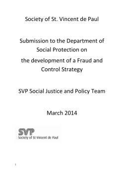 Submission to DSP on Fraud and Control Strategy