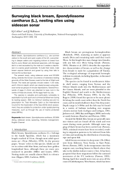 Surveying black bream, Spondyliosoma