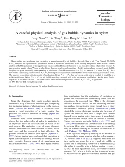 A careful physical analysis of gas bubble dynamics in xylem
