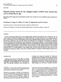 Plasmid cloning vectors for the conjugal transfer of DNA