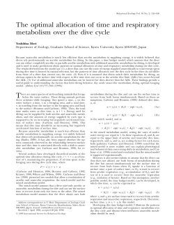 The optimal allocation of time and respiratory metabolism over the