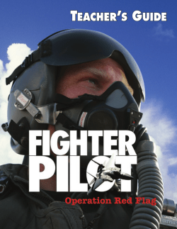 Fighter Pilot Guide-International