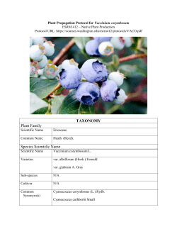 TAXONOMY Plant Family Species Scientific Name