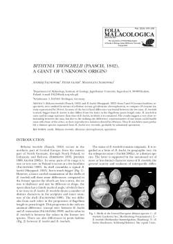 BITHYNIA TROSCHELII (PAASCH, 1842), A GIANT OF UNKNOWN