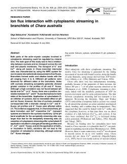 Ion flux interaction with cytoplasmic streaming in branchlets of Chara