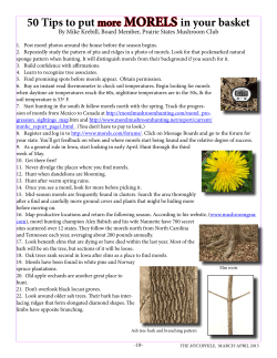 50 Tips to put more MORELS in your basket