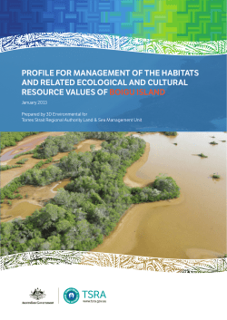 Boigu Island - Torres Strait Regional Authority