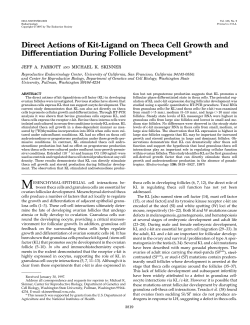 Direct Actions of Kit-Ligand on Theca Cell Growth and Differentiation
