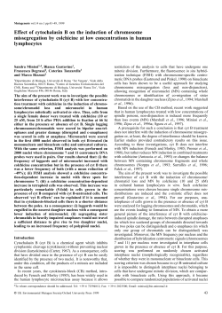 Effect of cytochalasin B on the induction of