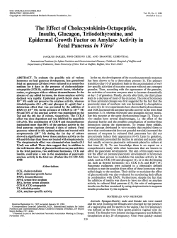 The Effect of Cholecystokinin-Octapeptide