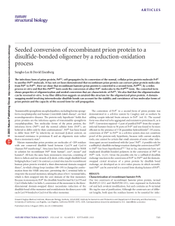 Seeded conversion of recombinant prion protein to a
