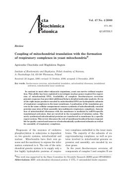 Coupling of mitochondrial translation with the formation of