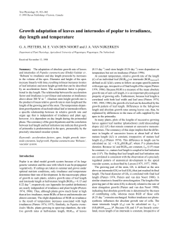 Growth adaptation of leaves and internodes of poplar to irradi