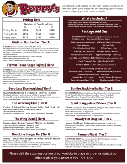 Pricing Tiers Gridiron Burrito Bar | Tier A Package Add Ons What`s