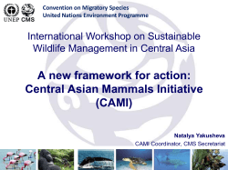 A new framework for action: Central Asian Mammals Initiative (CAMI)