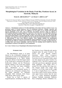 Morphological Variation in the Dusky Fruit Bat, Penthetor lucasi, in