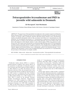 Tetracapsuloides bryosalmonae and PKD in juvenile wild salmonids
