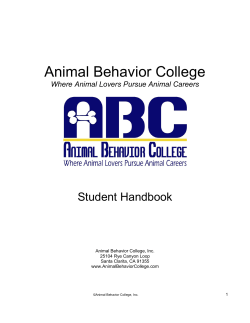 Payment Plans and Shipping Schedules