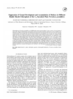 Suppression of Granal Development and