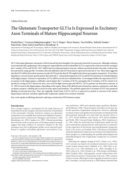 The Glutamate Transporter GLT1a Is Expressed in Excitatory Axon