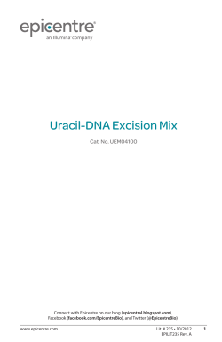 Protocol for Uracil-DNA Excision Mix