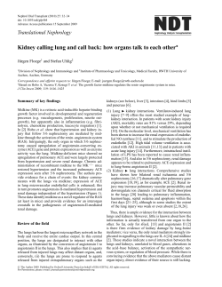 Kidney calling lung and call back: how organs