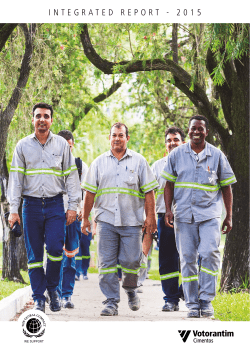 Integrated Report 2015 - Short Version