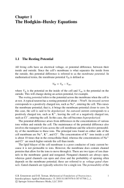 The Hodgkin&ndash;Huxley Equations