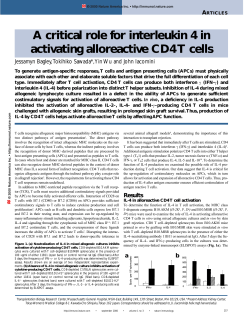 A critical role for interleukin 4 in activating alloreactive CD4 T cells
