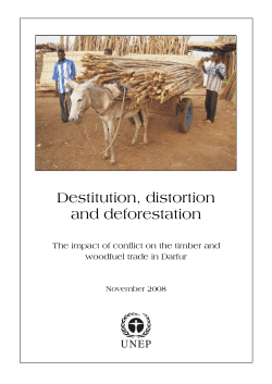 Destitution, distortion and deforestation