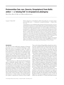 Protoxenidae fam. nov. (Insecta, Strepsiptera) from Baltic amber &mdash; a