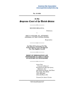 13-1034 Brief for Immigration Law Professors in Support of Petitioner