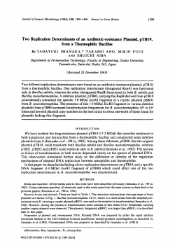 Two Replication Determinants of an Antibiotic