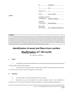 Identification of wood and fibers from conifers