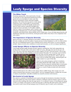 Leafy Spurge and Species Diversity