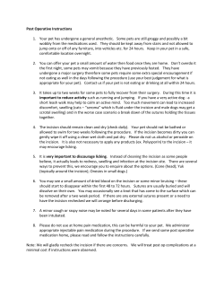 Post Operative Instructions 1. Your pet has undergone a general