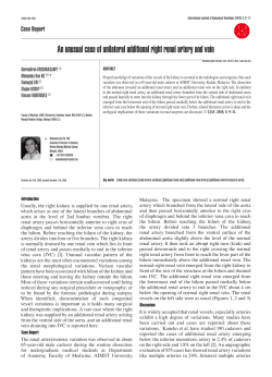An unusual case of unilateral additional right renal artery and vein