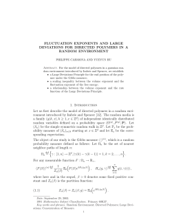 Fluctuation exponents and large deviations for directed polymers in