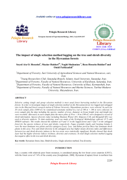 The impact of single selection method logging on the tree