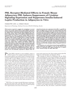 PRL Induces Suppressors of Cytokine Signaling Expression and
